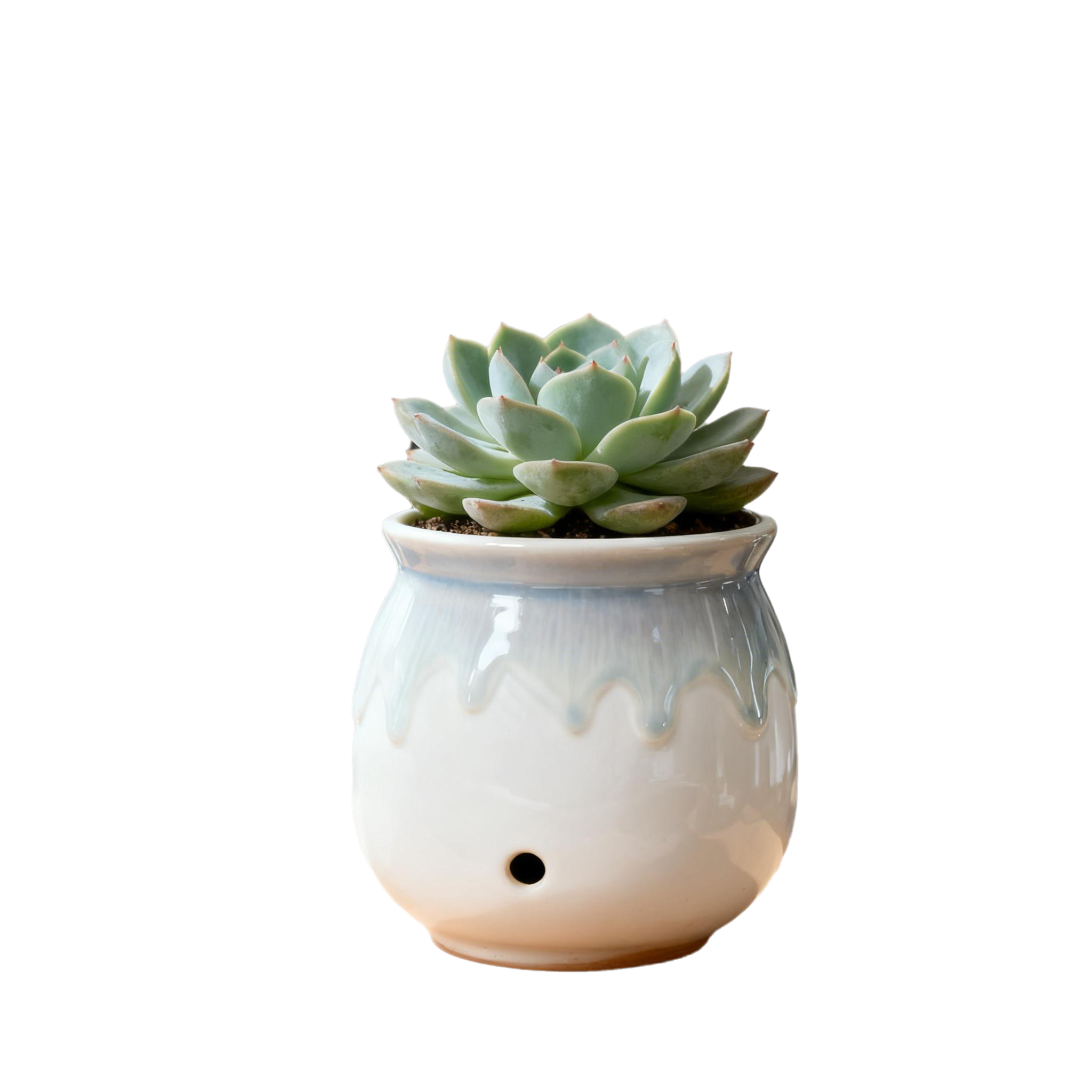 智能抠图-效果图